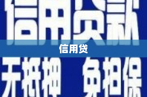 盐水信用贷