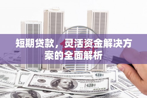 盐水短期贷款，灵活资金解决方案的全面解析