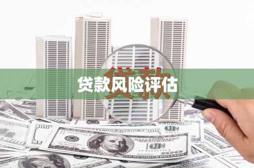 盐水贷款风险评估