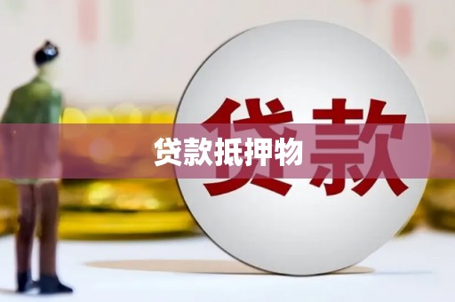 盐水贷款抵押物