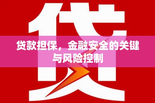 盐水贷款担保，金融安全的关键与风险控制