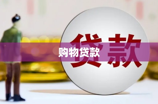 盐水购物贷款