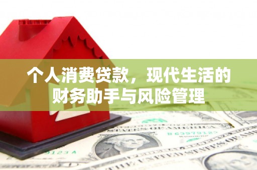 盐水个人消费贷款，现代生活的财务助手与风险管理