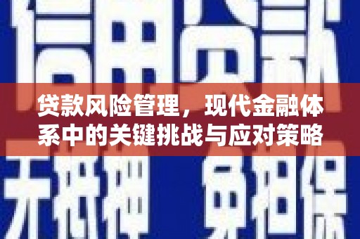 盐水贷款风险管理，现代金融体系中的关键挑战与应对策略
