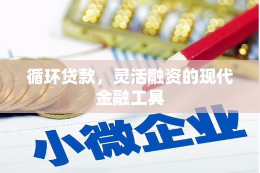 盐水循环贷款，灵活融资的现代金融工具