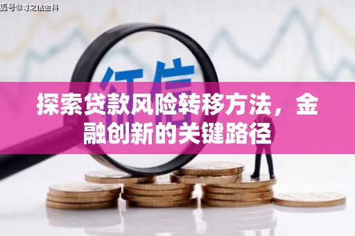 盐水探索贷款风险转移方法，金融创新的关键路径