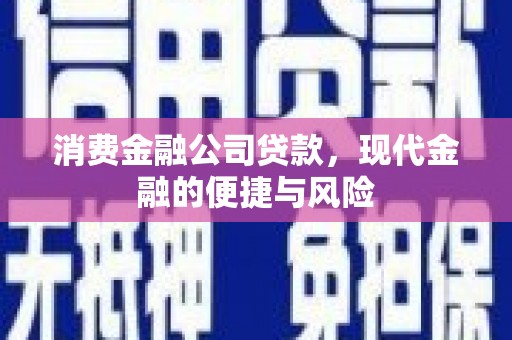 盐水消费金融公司贷款，现代金融的便捷与风险