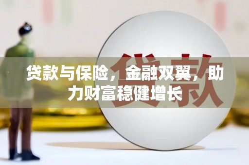 盐水贷款与保险，金融双翼，助力财富稳健增长