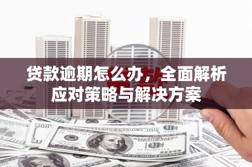 盐水贷款逾期怎么办，全面解析应对策略与解决方案