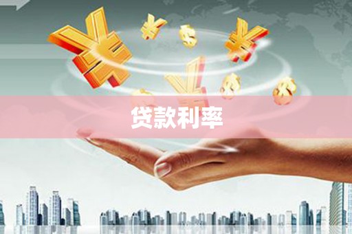 盐水贷款利率