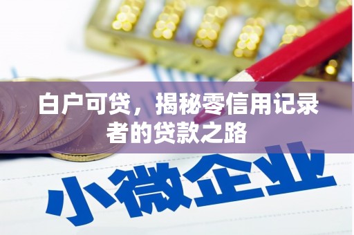 盐水白户可贷，揭秘零信用记录者的贷款之路
