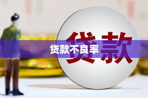 盐水贷款不良率