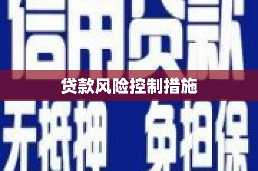 盐水贷款风险控制措施