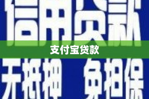 盐水支付宝贷款