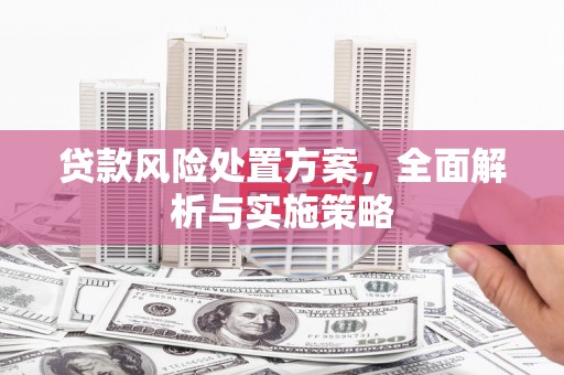 盐水贷款风险处置方案，全面解析与实施策略