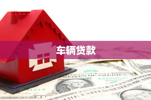 盐水车辆贷款
