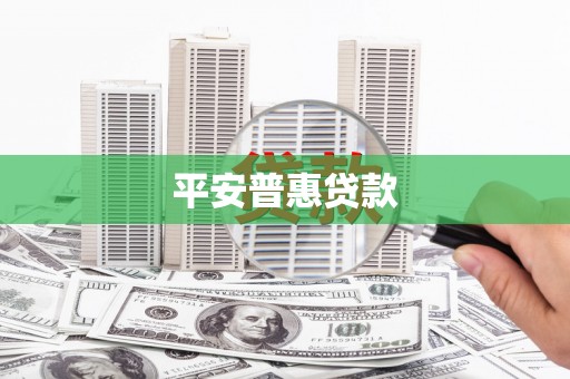 盐水平安普惠贷款