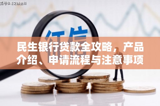盐水民生银行贷款全攻略，产品介绍、申请流程与注意事项